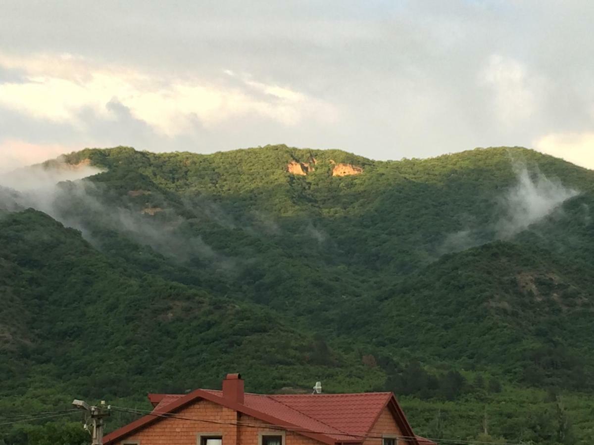 Вилла Вилла Долина Арагви Tsitelsopeli Экстерьер фото